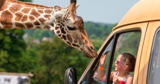 The Ultimate Guide Of West Midlands Safari Park Price, How To Get Discounted Tickets Here